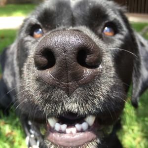 Petunia Does Posh -Enjoy my mom's closet!